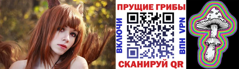 где продают   нарко площадка официальный сайт  Галлюциногенные грибы Magic Shrooms  Фокино 